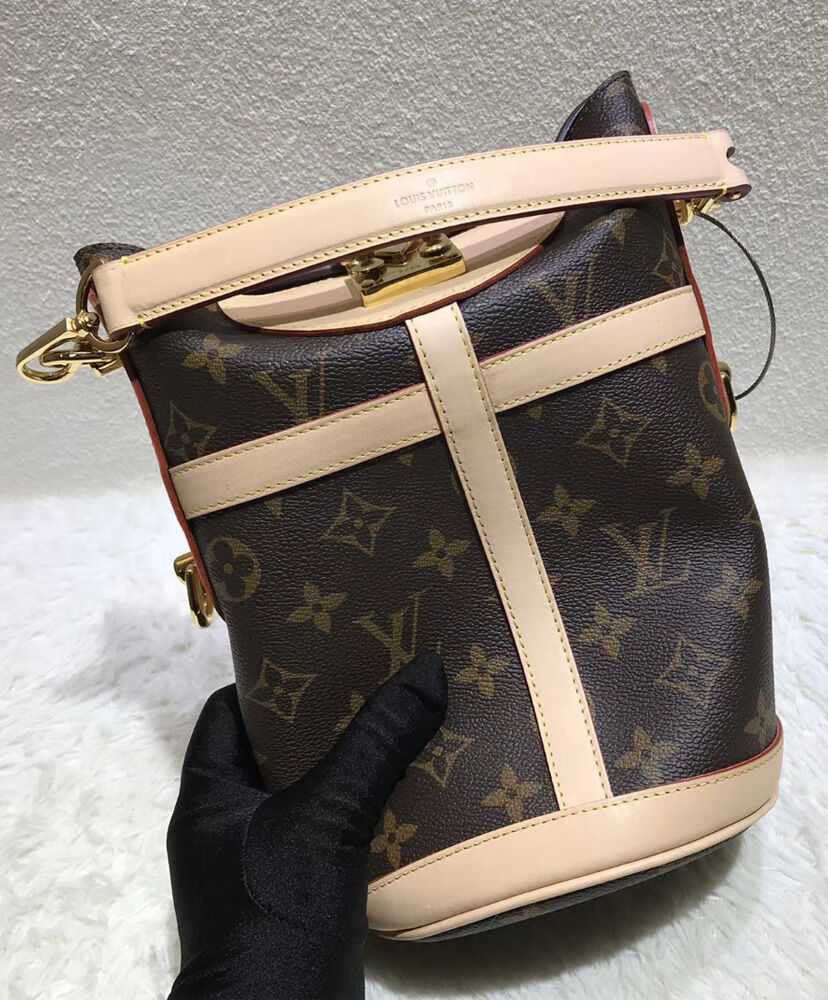 Louis Vuitton Bucket bag Brown