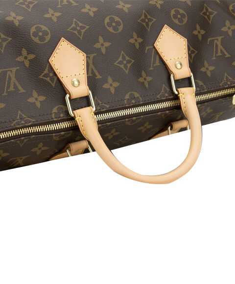 Louis Vuitton monogram speedy M40392 Brown