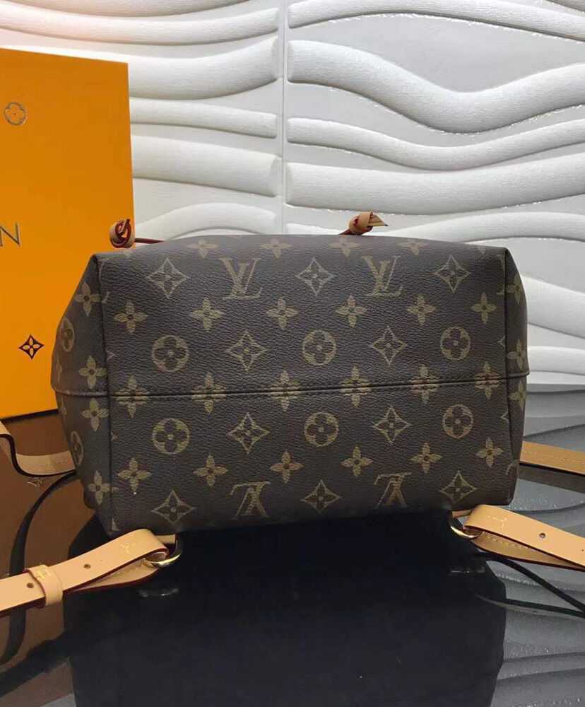 Louis Vuitton Montsouris PM M45501 M45515 Brown