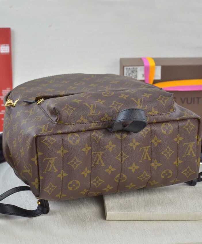 Louis vuitton Palm Springs Backpack MM M41561 Black