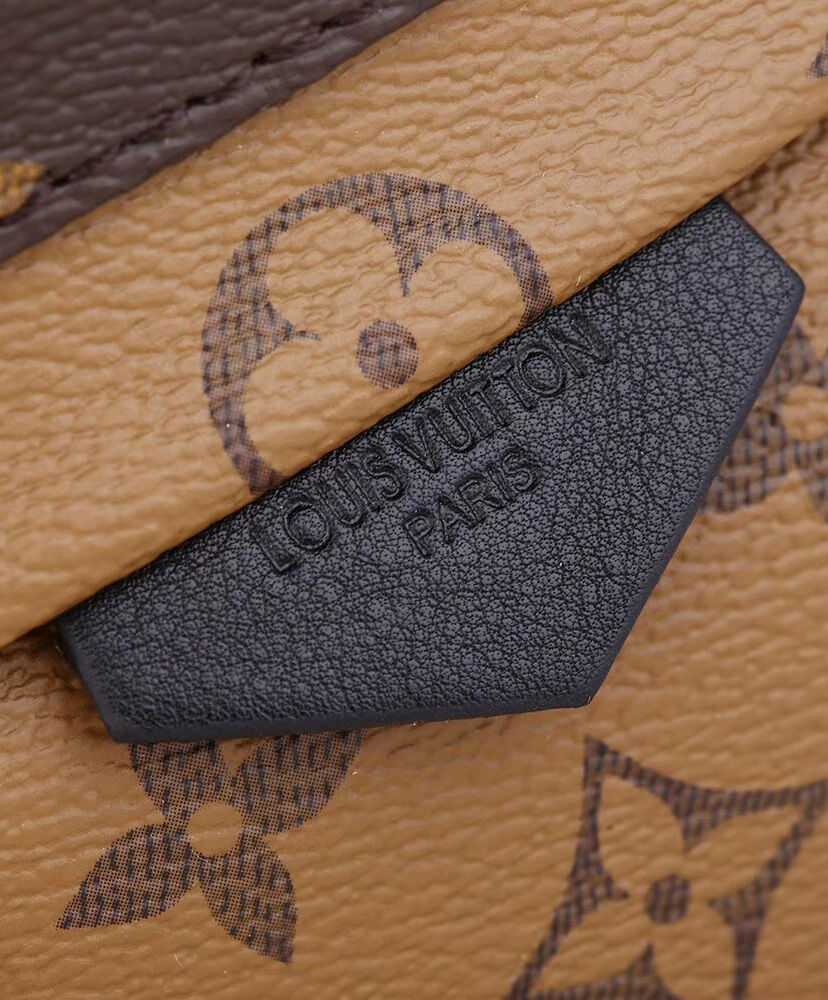 Louis Vuitton Palm Springs Pm M44870 Brown