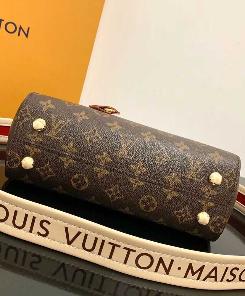 Louis Vuitton Cluny BB M44863