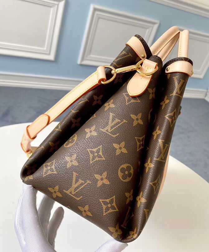 Louis Vuitton Soufflot MM M44816 Brown