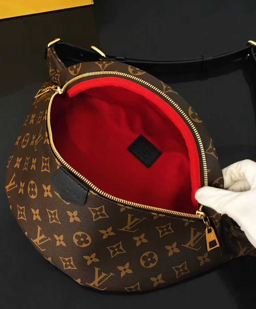 Louis Vuitton Bumbag M43622 Brown