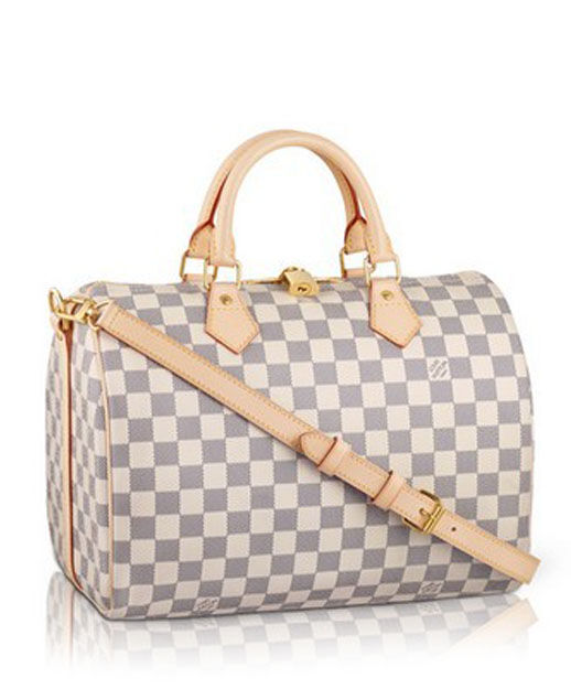 Louis Vuitton Damier Speedy N41001 White