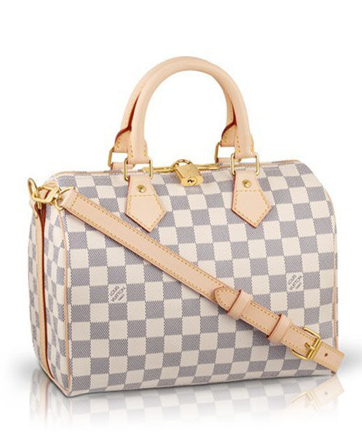 Louis Vuitton Damier Speedy N41000 White