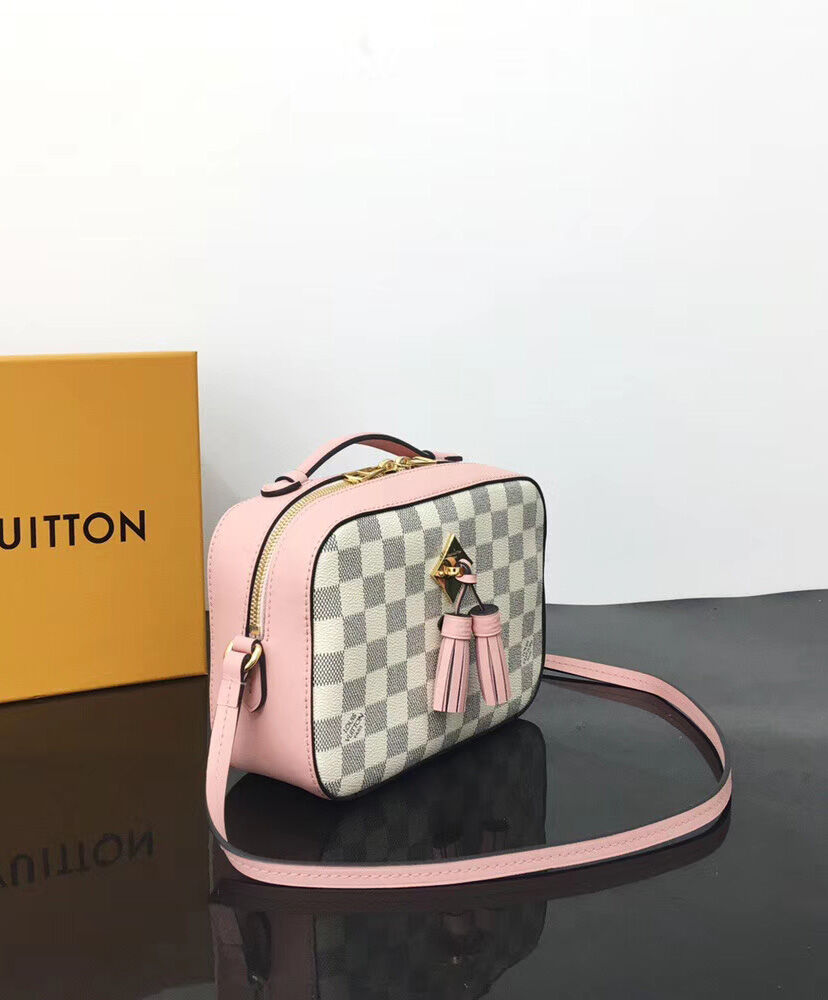 Louis Vuitton Saintonge N40154 Pink