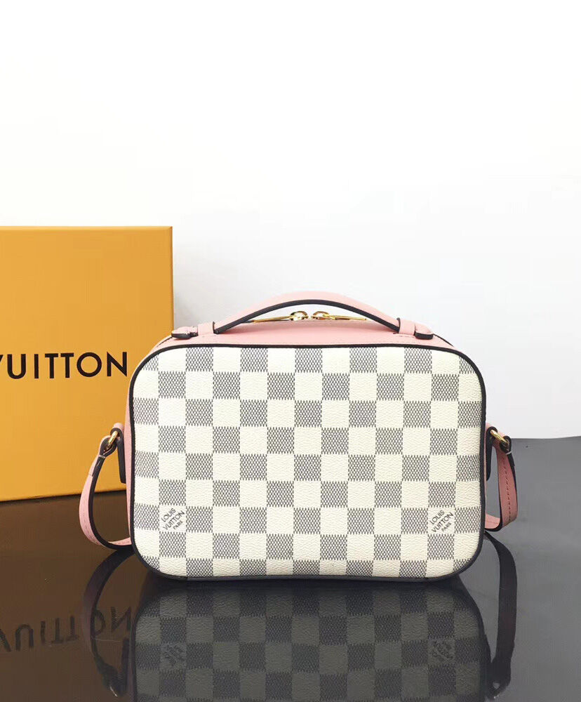 Louis Vuitton Saintonge N40154 Pink