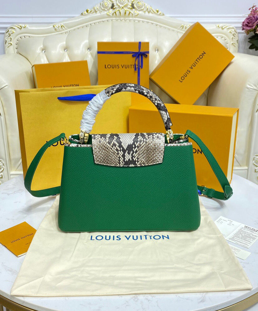 Louis Vuitton Capucines Mini Bag N80931 N96467 Green